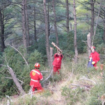 δασοπροαστασία, πυροσβέστες, φωτια, δάση, αιτωλοακαρνανία
